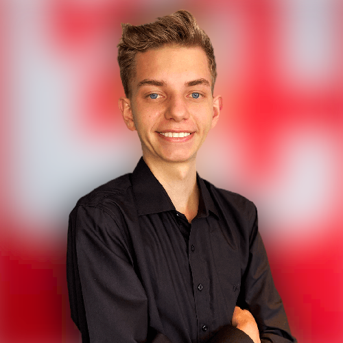 Foto padrão Luís perfil